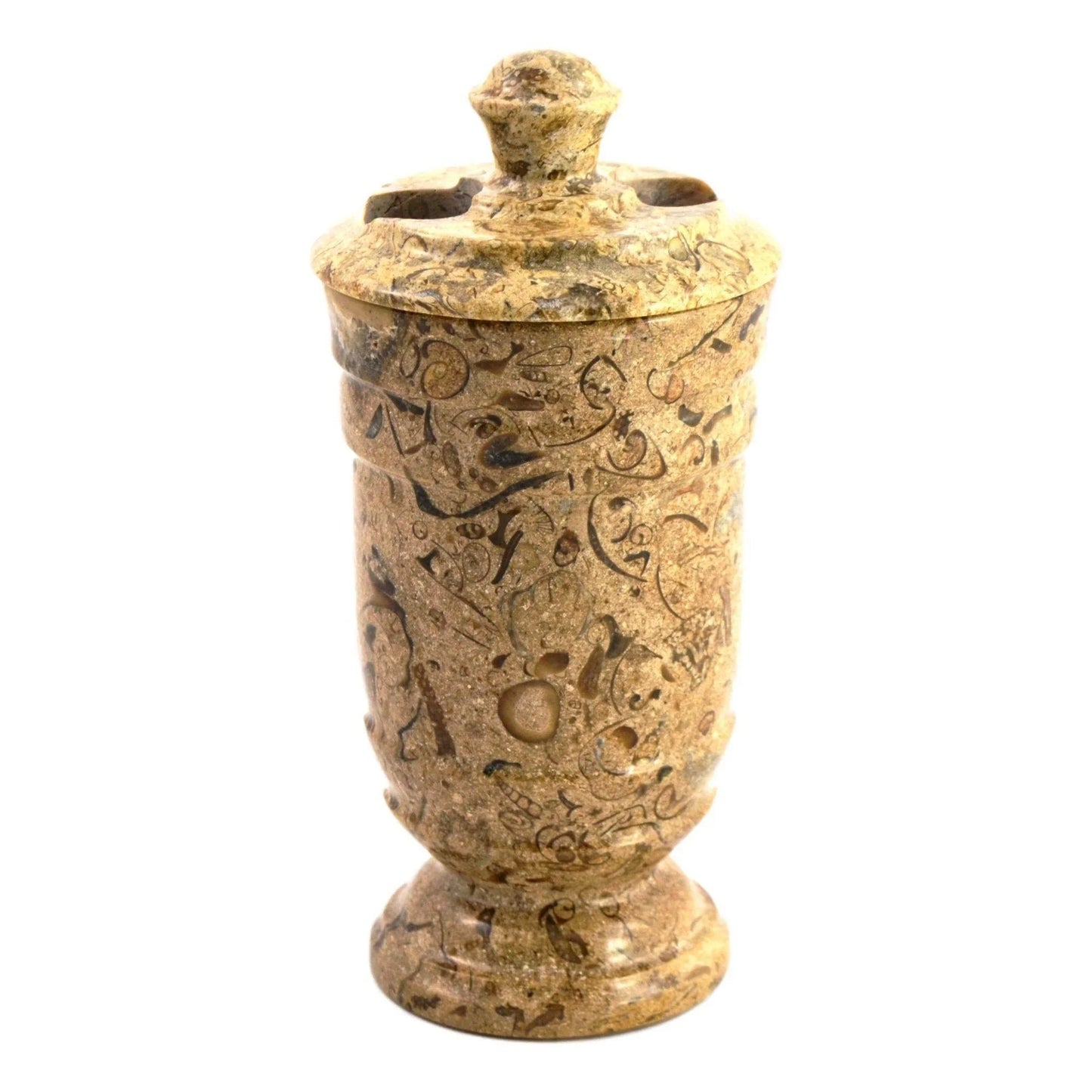 Fossil Stone Toothbrush Holder of Tasmanian Collection - Nature Home Decor